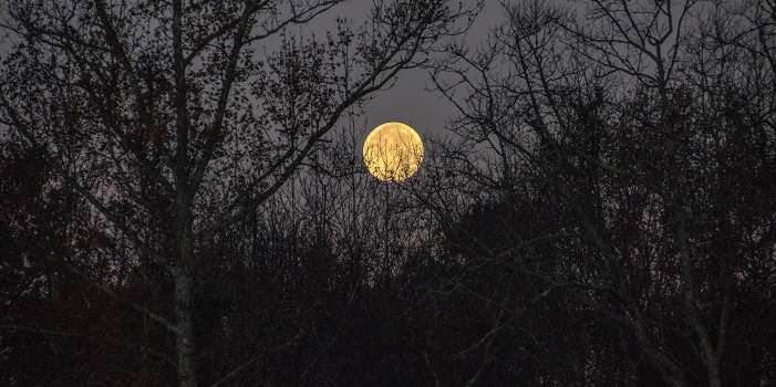 Lune noire la La lune